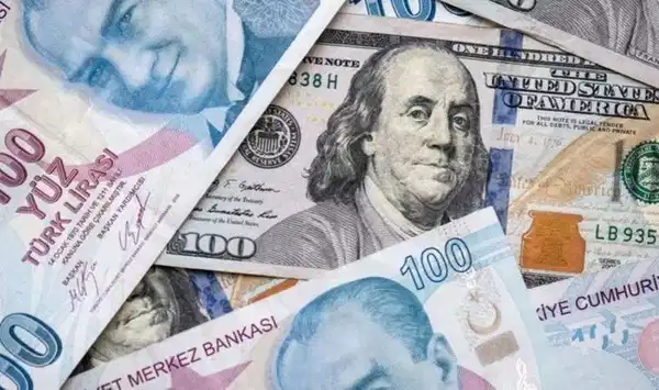 Dev bankadan Türkiye ekonomisi analizi: Yeni yılda korkutan dolar/TL senaryosu! Dev bankadan Türkiye ekonomisi analizi: Yeni yılda korkutan dolar/TL senaryosu!