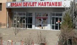 Diyarbakır’da ‘damat’ dehşeti… Kayınpederini ve kayınbiraderini öldürdü!