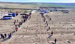 Kırşehir’de cezaevi yerleşkelerinde 5 bin 500 fidan toprakla buluşturuldu
