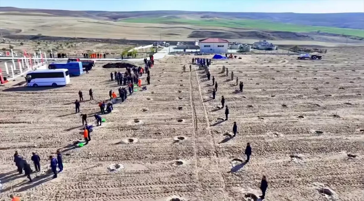 Kırşehir’de cezaevi yerleşkelerinde 5 bin 500 fidan toprakla buluşturuldu