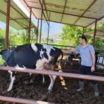 Muğla’nın Milas ilçesinde 11 mahallede şap hastalığı nedeniyle karantina başlatıldı