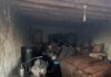 Şırnak’ta kaçakçılık operasyonlarında yakalanan 107 şüpheliye adli işlem yapıldı