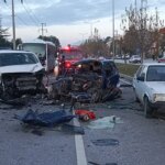 Yola çıkan kedi, kazaya neden oldu: 2 ölü, 3 yaralı